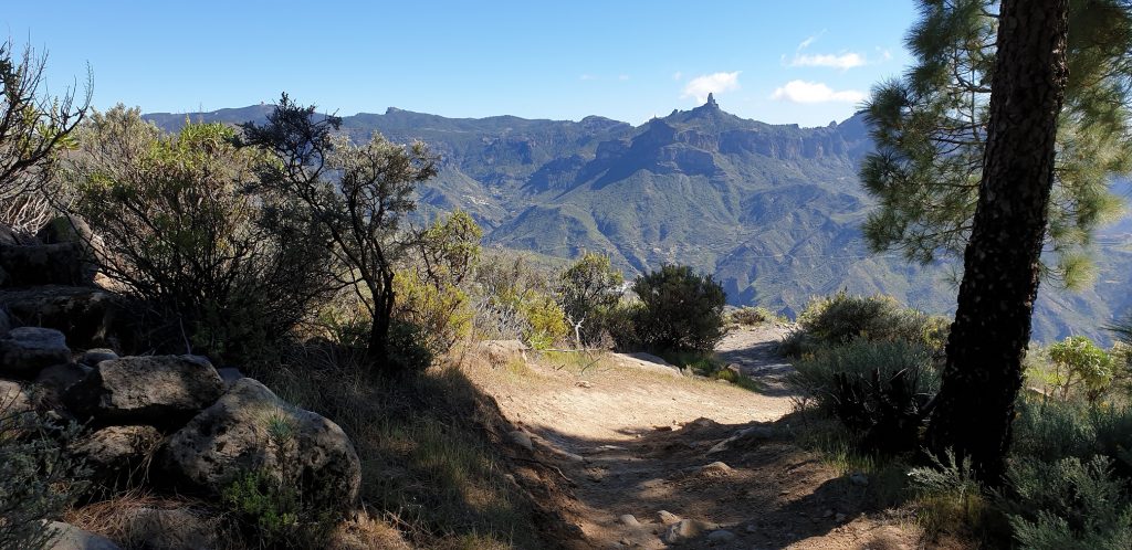 Hiking Highlights of Gran Canaria - Day 3