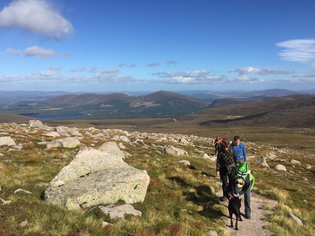 Cairngorms Mountain Adventure