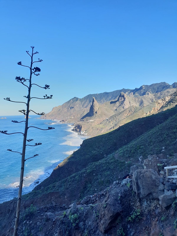 Hiking Highlights of Tenerife Day 7