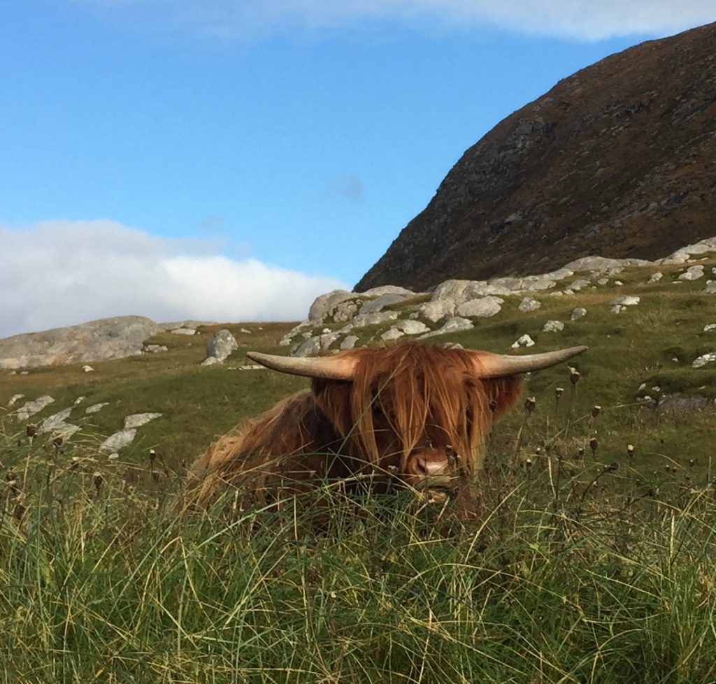Outer Hebrides Walking Tour - Day 7