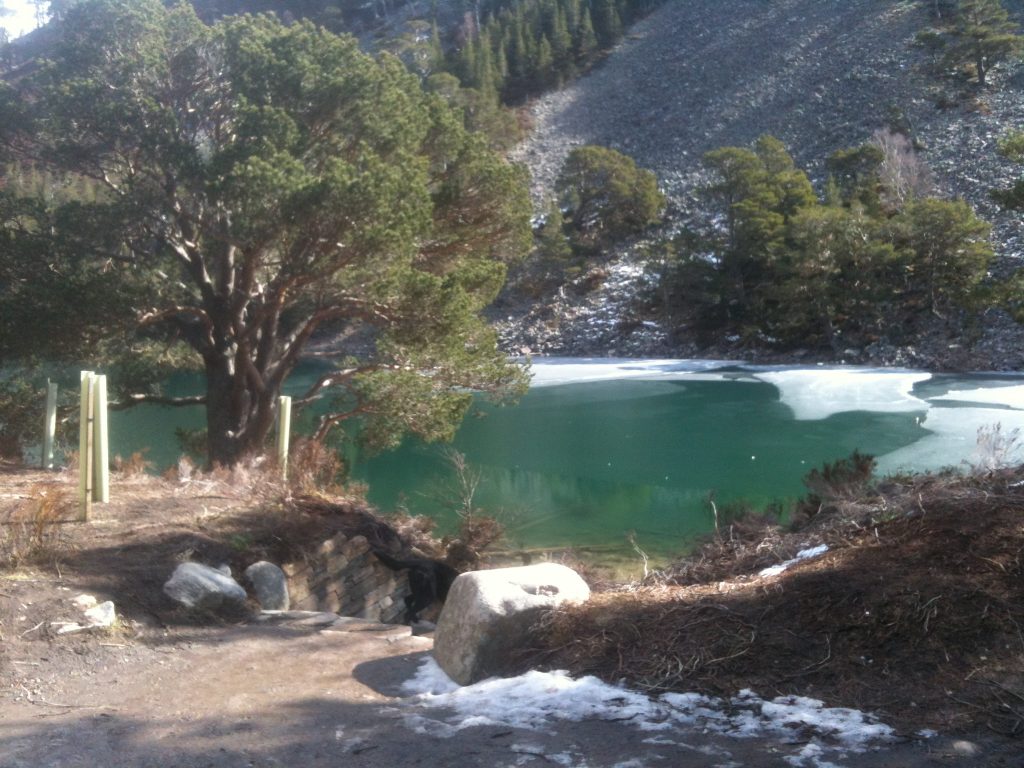 New Year Cairngorms Winter Walking - Day 5