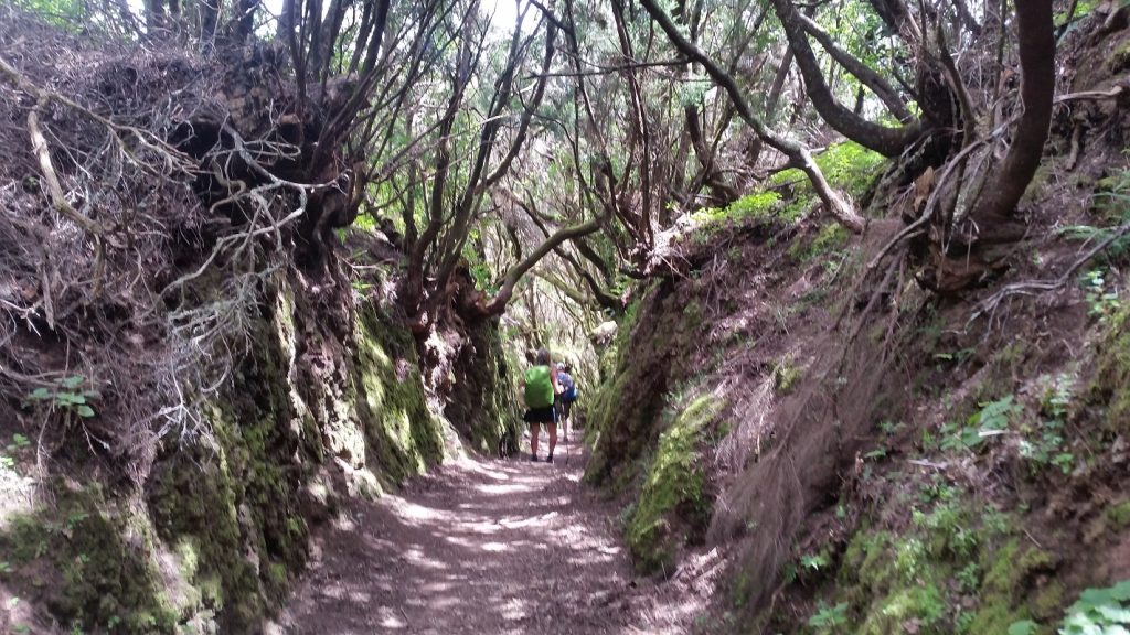 Hiking Highlights of La Gomera