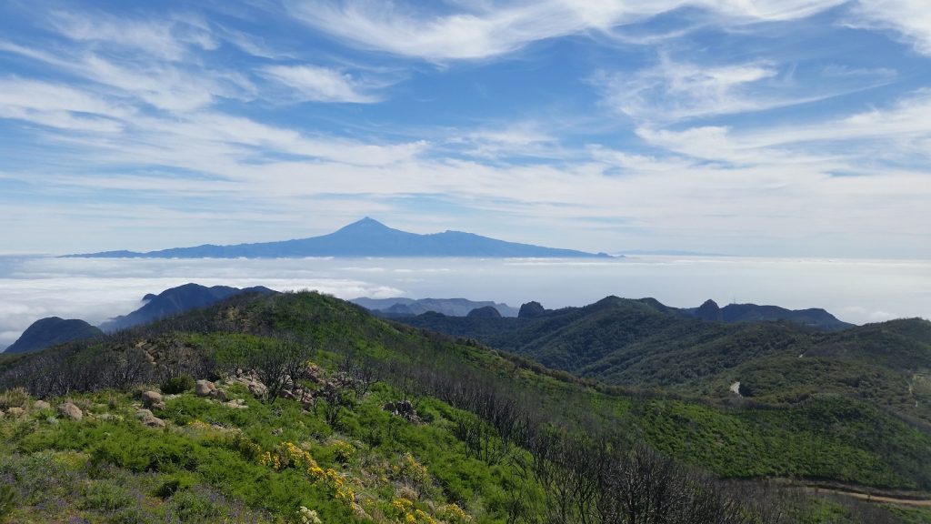 Hiking Highlights of La Gomera